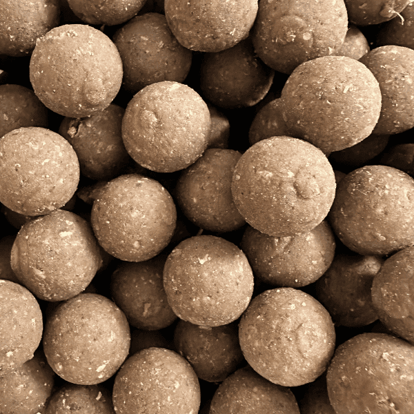 bouillette artisanale carpe