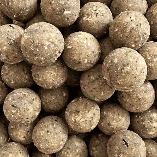 bouillette fraiche carpe