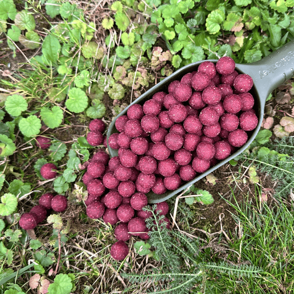 bouillette pro elite baits
