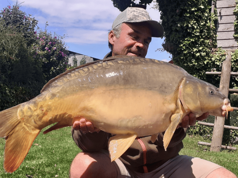 carpe poisson