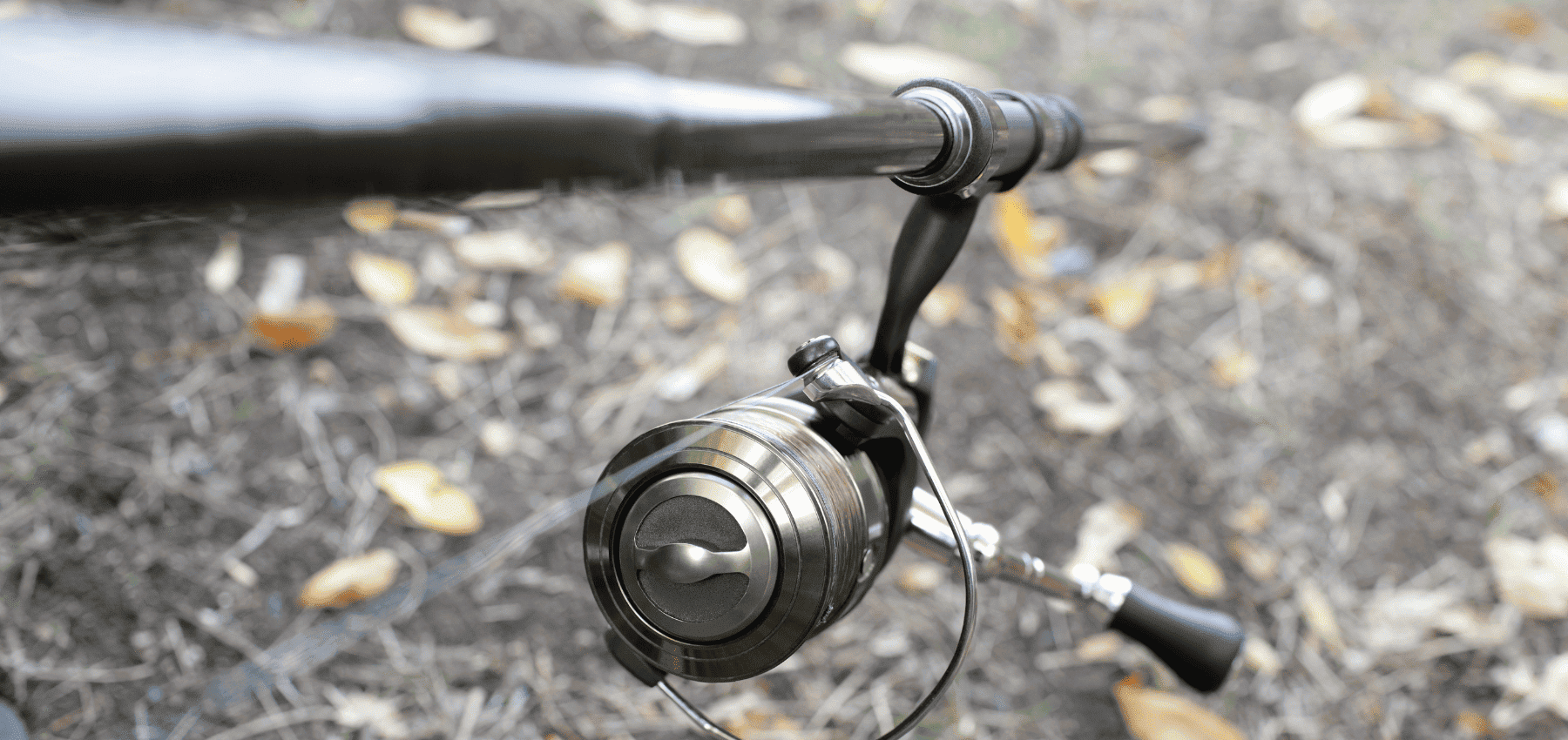 ensemble canne moulinet