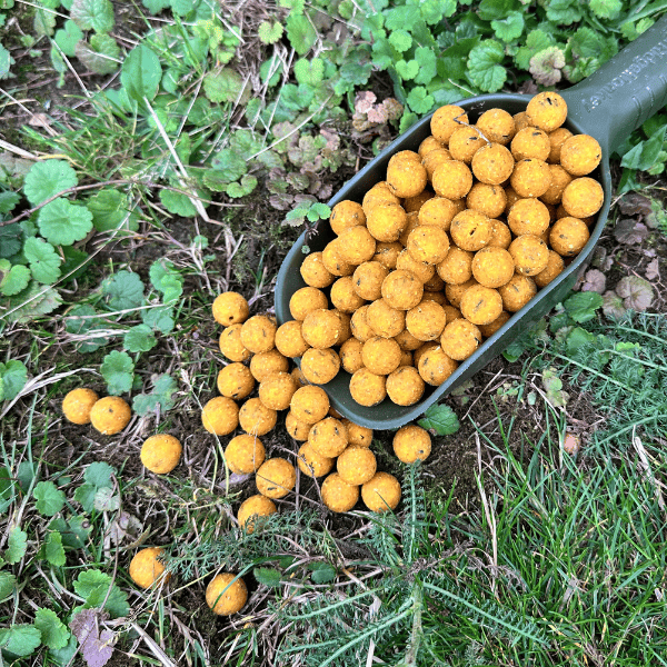 scopex bouillette