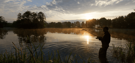 lunettes polarisées