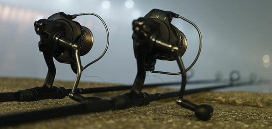 moulinet peche carpe