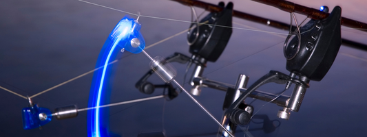 technique pêche à la carpe