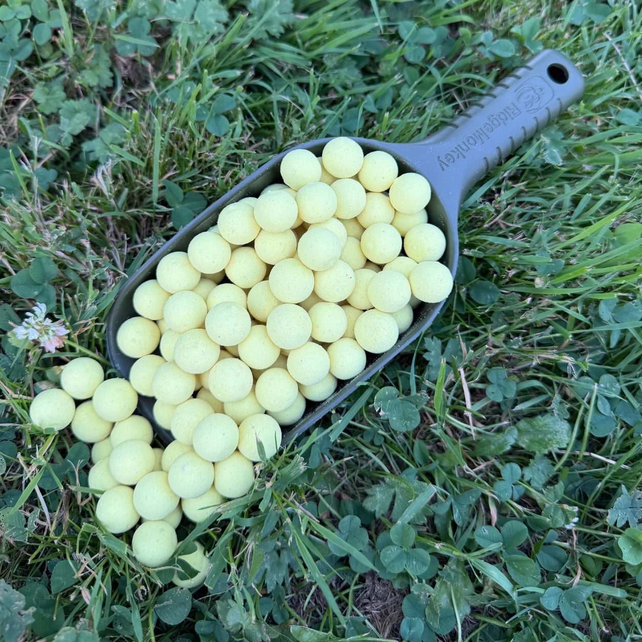 Pop-ups Jaune Ananas Wash-Out
