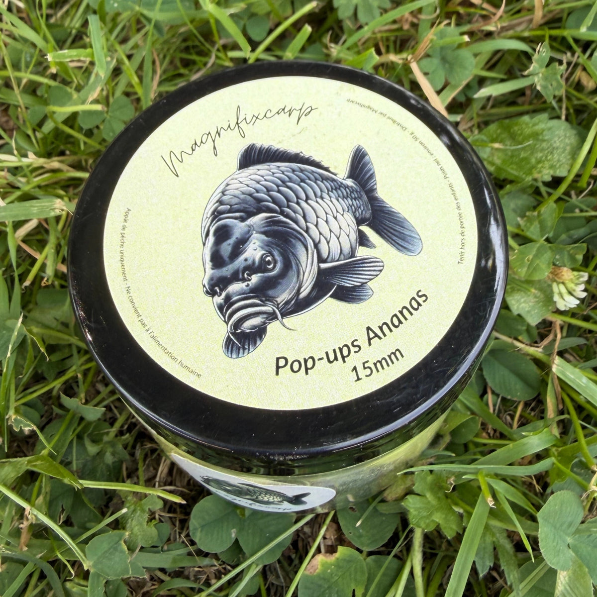 Pop-ups Jaune Ananas Wash-Out
