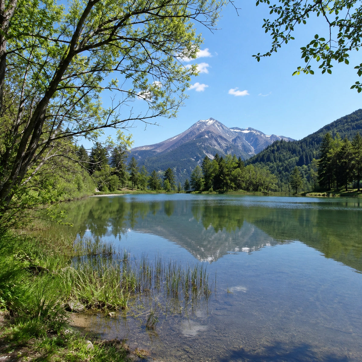 Bordure de plan d'eau des Hautes-Alpes, zone d'amorçage pour la pêche de la carpe