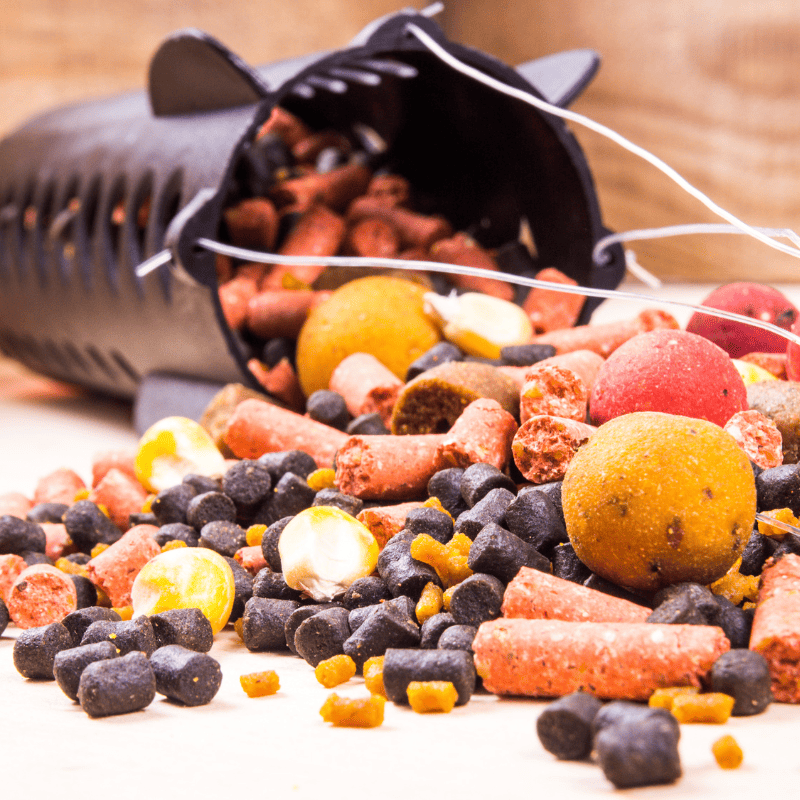 amorcage carpe peche rapide