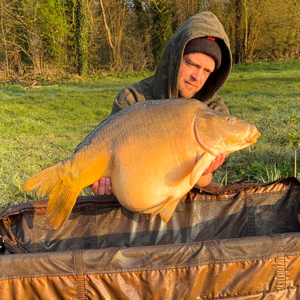 Carpe miroir dorée présentée sur tapis de réception lors d'une session de pêche