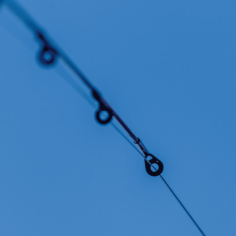 anneaux de canne à carpe