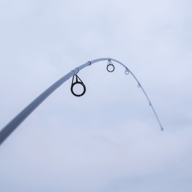 anneaux de départ canne à carpe