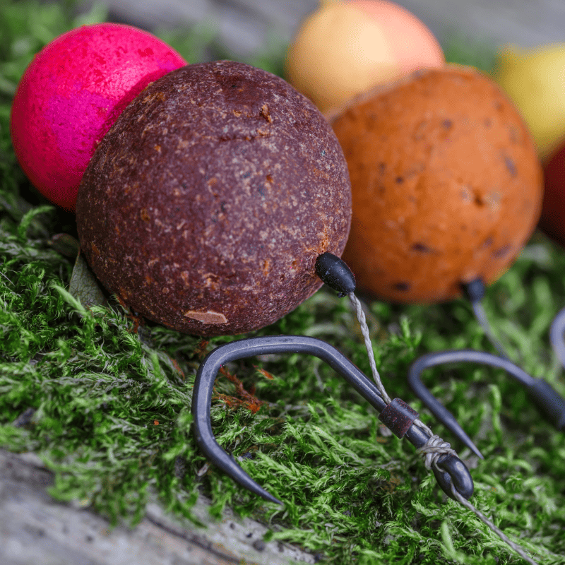 appat peche a la carpe