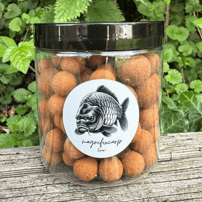 appat peche carpe hiver