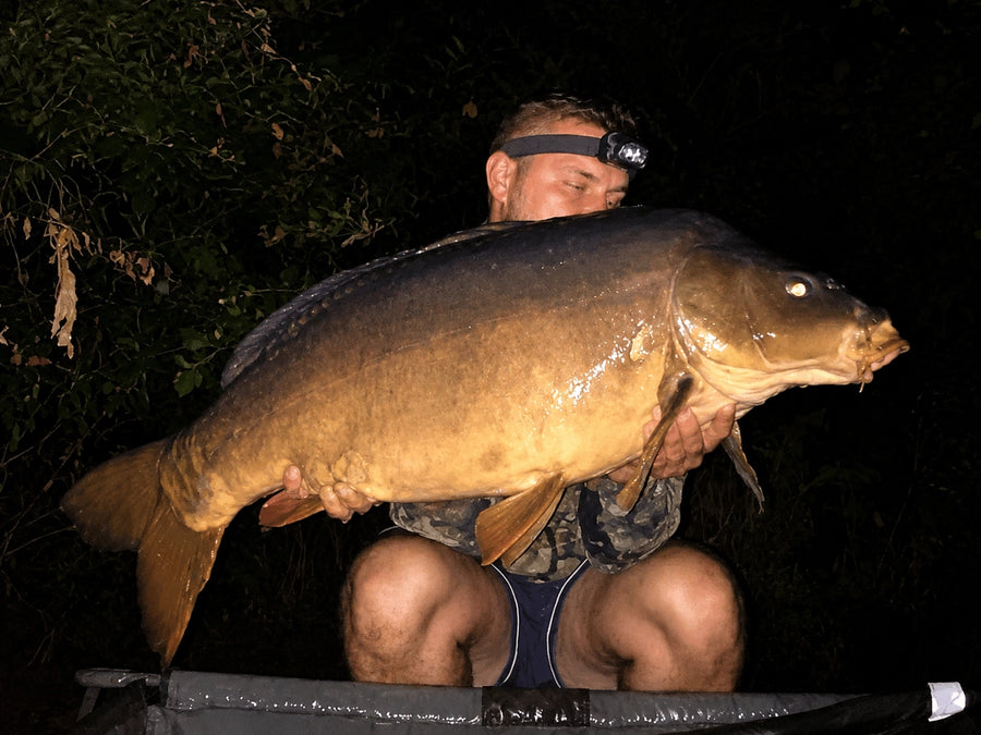 Carpe prise avec les appâts Magnifixcarp