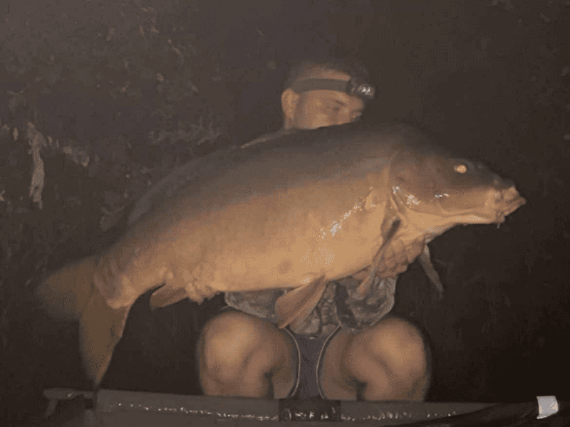 appats peche carpe