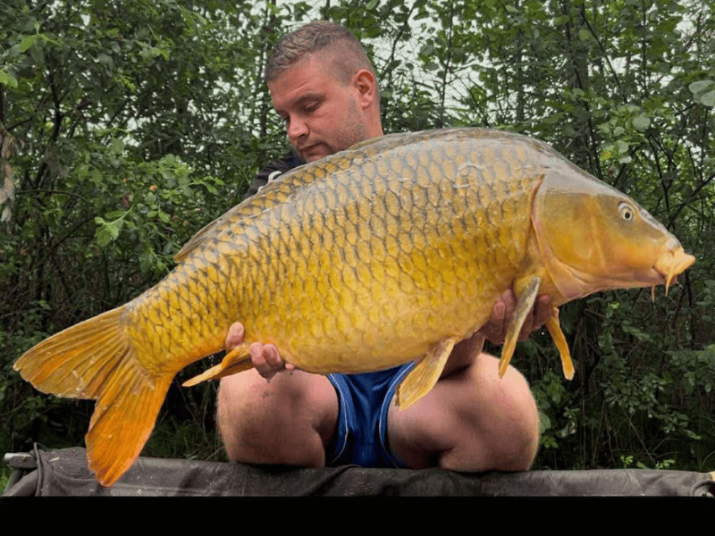 appats pour carpe