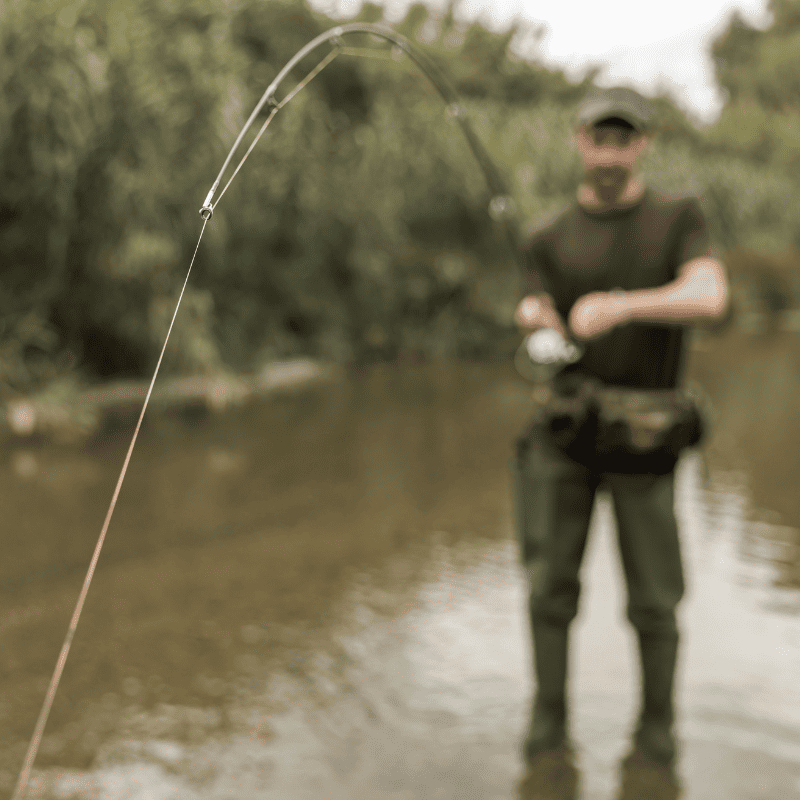 apprendre a pecher la carpe