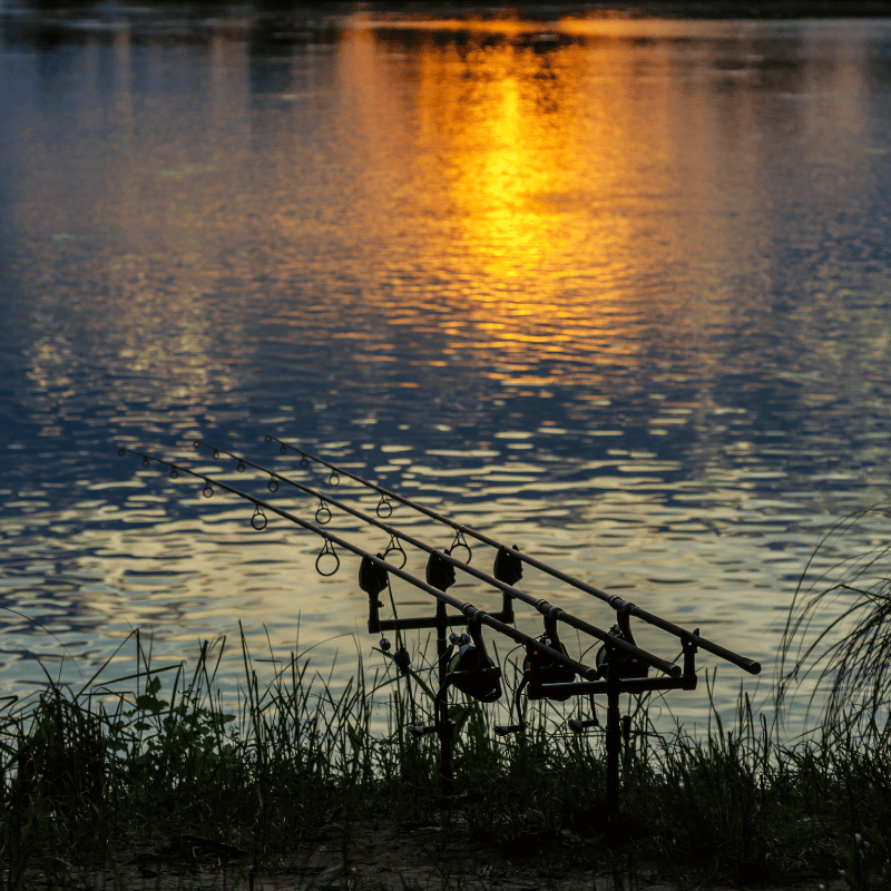 astuce pour pecher la carpe