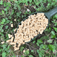 baby corn pellet carpe