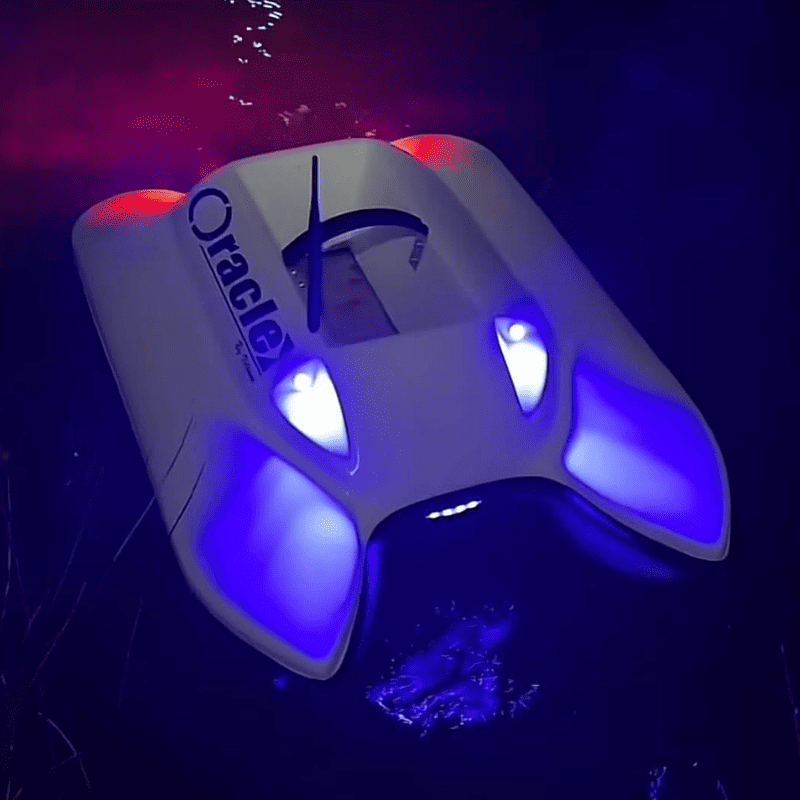 bateau amorceur peche carpe