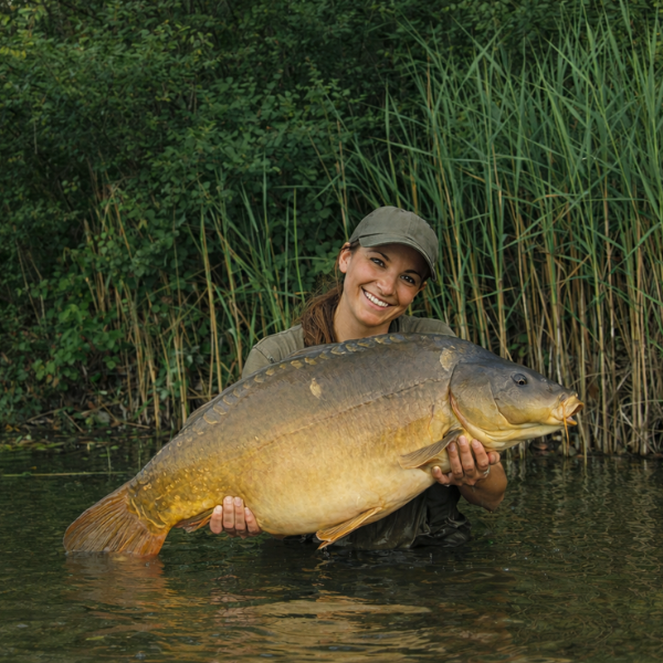 belle carpe qui valide une stratgie d'amorçage