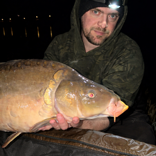 Bouche protractile et barbillons d'une carpe miroir photographiée de nuit en session