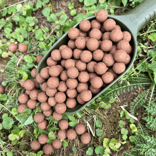bouillette artisanale francaise