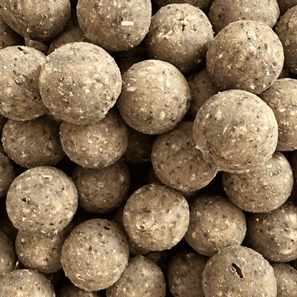 bouillette fraiche carpe