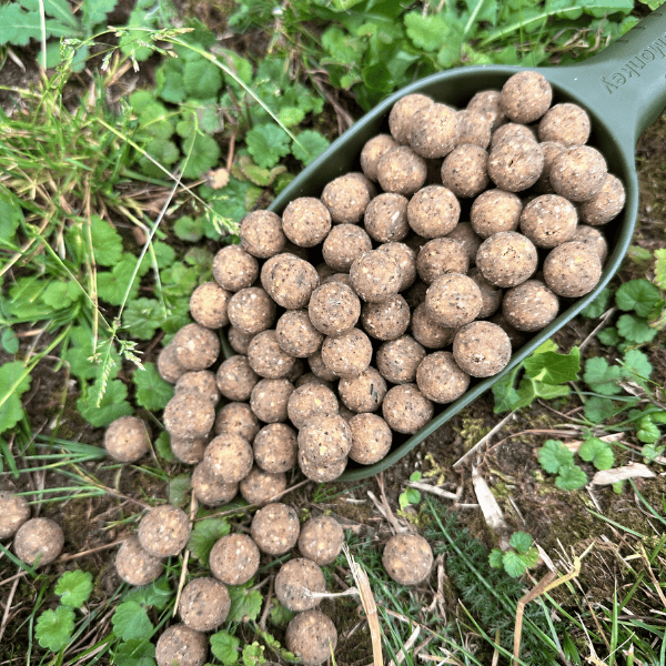 bouillette fraiche maison
