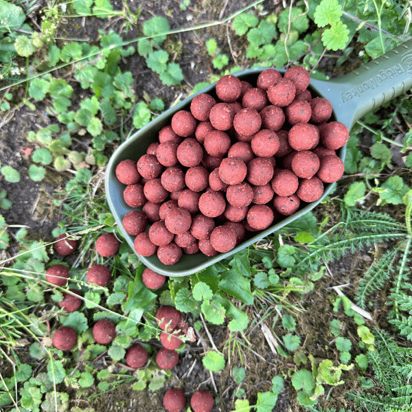bouillette nature qui cartonne