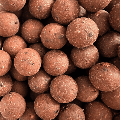 bouillette qui cartonne carpe