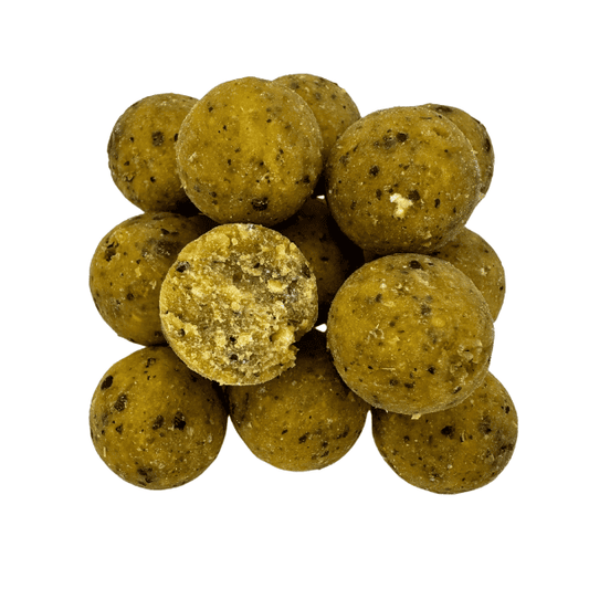 bouillette peche