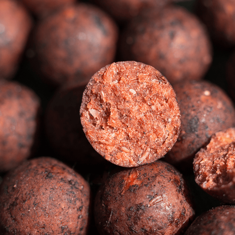 bouillettes pour la carpe