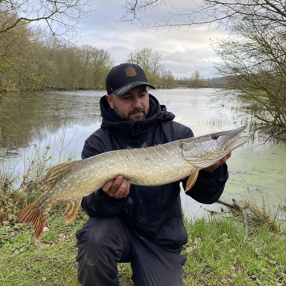 Brochet pris sur une rivière de Gironde avant sa remise à l'eau