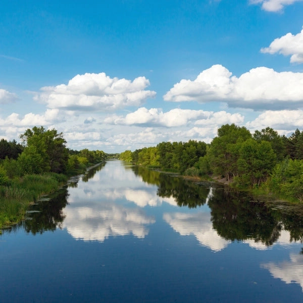 Canal aux eaux calmes bordé d'arbres, typique des spots à carpes en eau lente et peu fréquentée