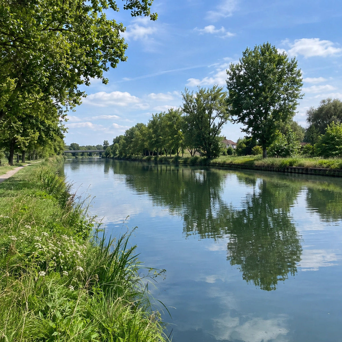 Poste de pêche sur le canal latéral à l'Aisne