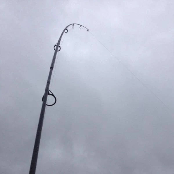 Scion d'une canne à carpe en fibre de verre entrée de gamme fléchi sous tension contre ciel gris