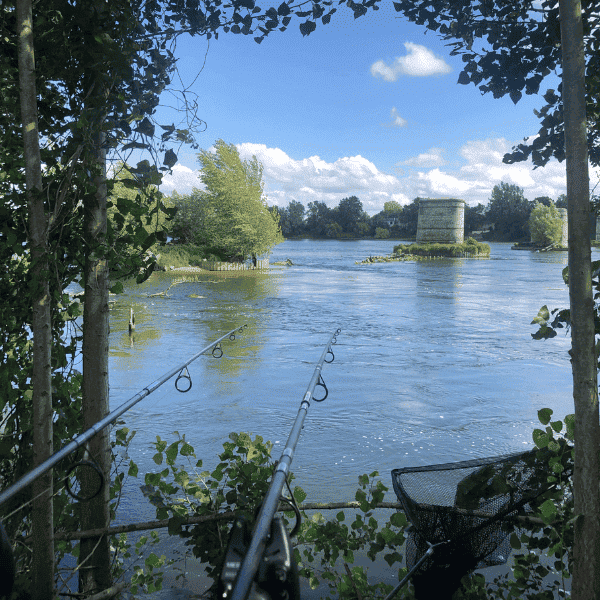 canne a peche a carpe