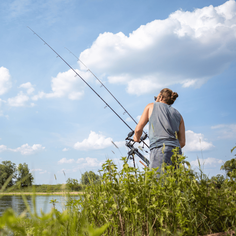 canne carpe action de pointe