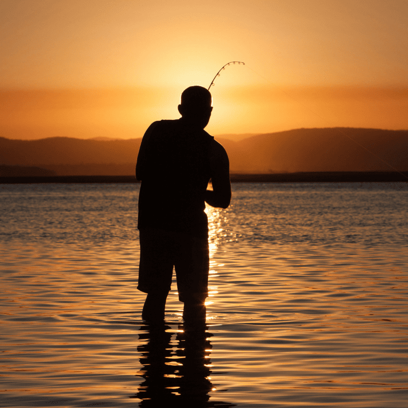 canne carpe action semi parabolique