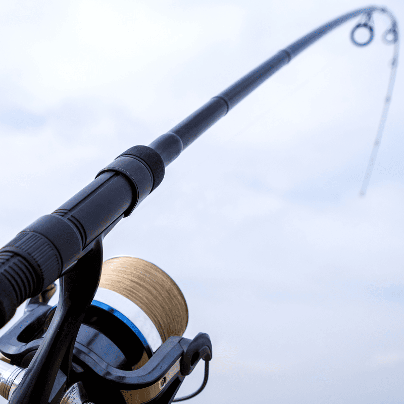 canne à carpe avec moulinet