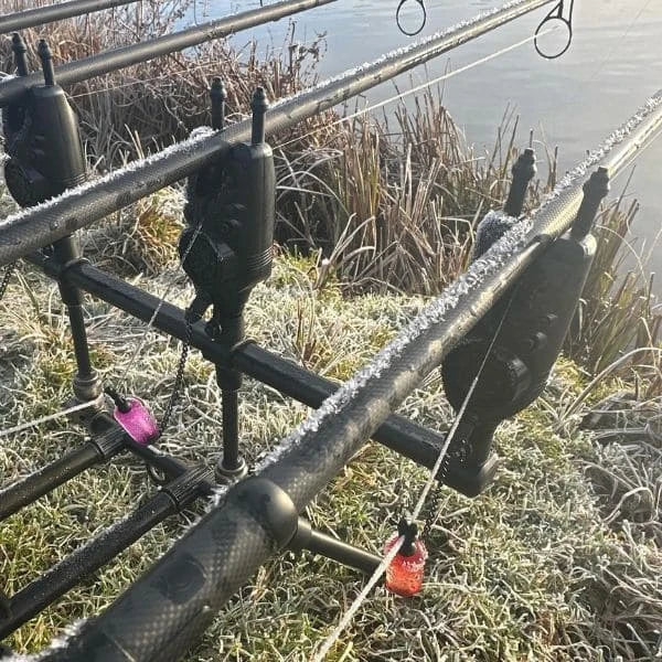 Batterie de cannes à carpe 3 brins en carbone givrées par le gel en bordure d'étang d'hiver