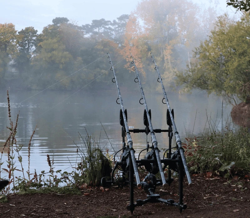 Trois cannes à carpe en carbone HR sur rod-pod en bord d'étang brumeux à l'automne