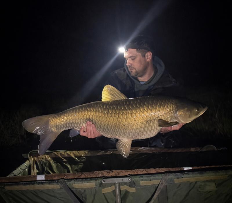 Pêcheur éclairé par sa frontale présentant une grosse carpe amour capturée de nuit