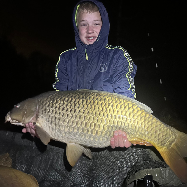 Belle carpe commune dorée capturée lors d'une session de pêche de nuit