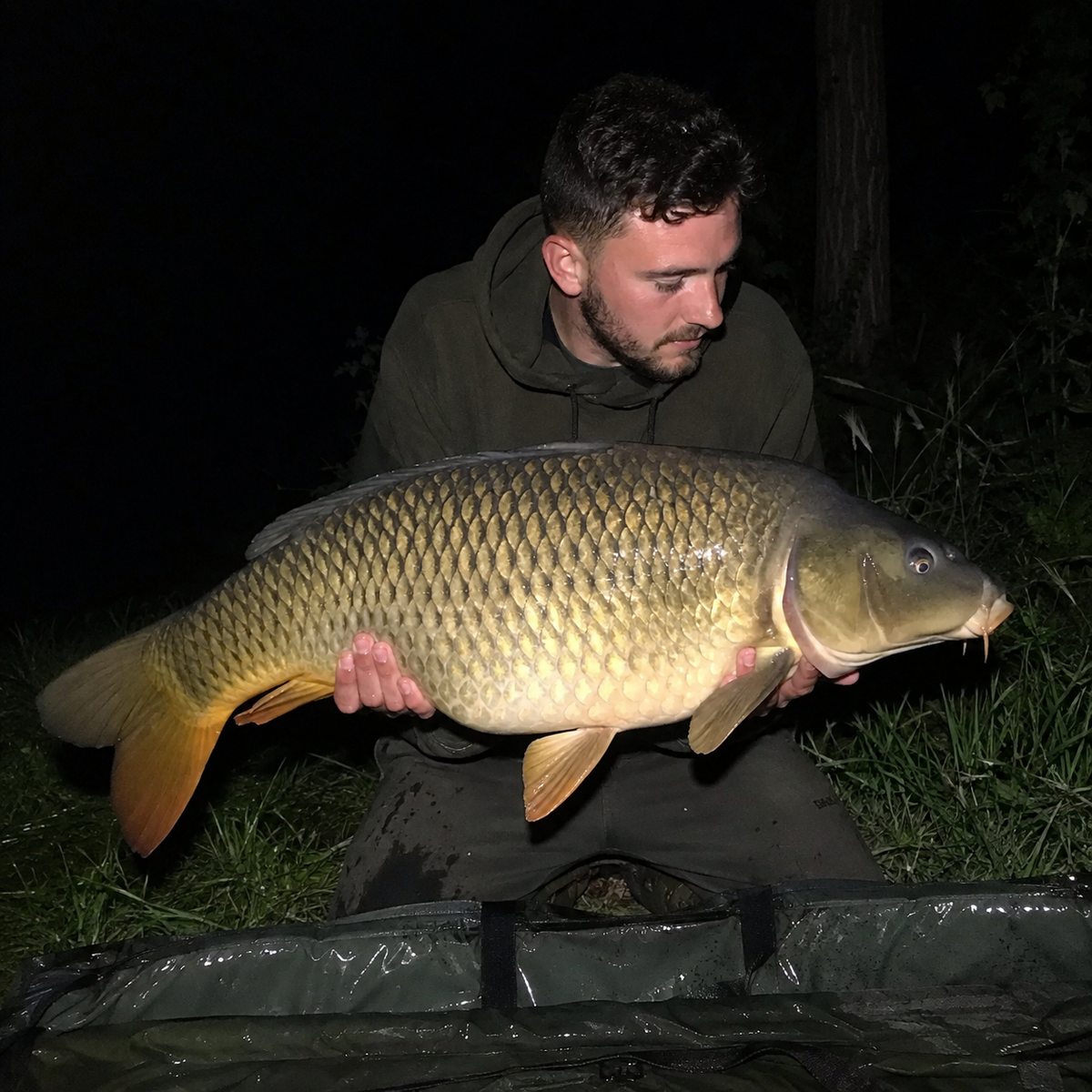 Carpe commune capturée de nuit sur un lac du Gers