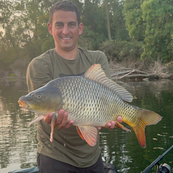 Carpe commune sauvage au corps fuselé capturée en rivière avec nageoires orangées