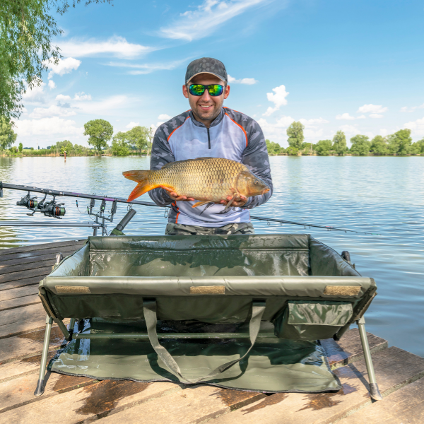 Carpiste sur ponton tenant une belle carpe commune à la robe dorée avec tapis de réception et cannes en arrière-plan, session de pêche à la carpe en été