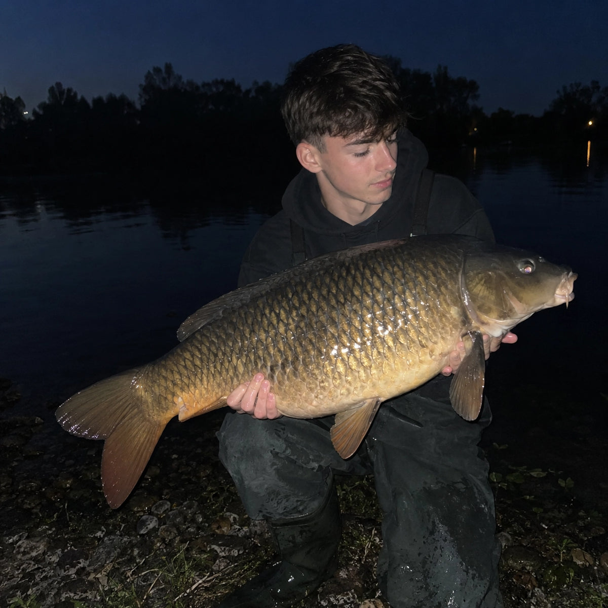 Carpe commune capturée de nuit sur un parcours carpe de nuit de l'Aude, avant remise à l'eau